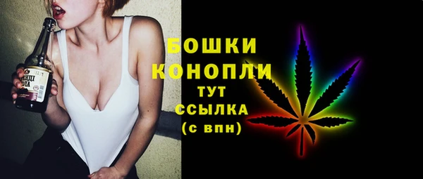 ПСИЛОЦИБИНОВЫЕ ГРИБЫ Дмитров