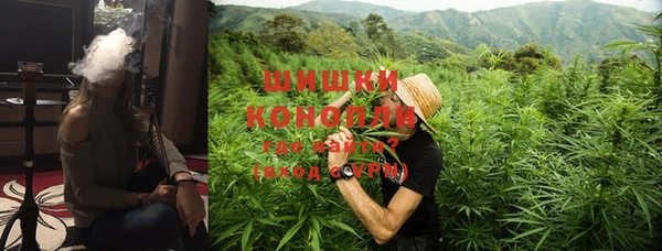 ПСИЛОЦИБИНОВЫЕ ГРИБЫ Дмитров