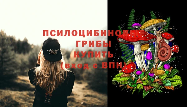 кокс Гусиноозёрск