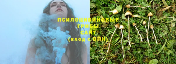 ПСИЛОЦИБИНОВЫЕ ГРИБЫ Дмитров