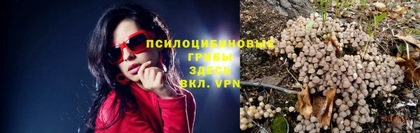 первитин Дмитриев