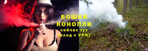 ПСИЛОЦИБИНОВЫЕ ГРИБЫ Дмитровск